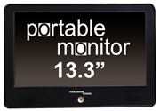 Portable Monitor For Low Vision Desktop Magnifier